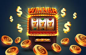 Sharkroll Casino & Sportsbook An Immersive Gaming Experience Awaits